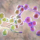 La candidose : maladie digestive