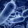 Probiotiques et toniques intestinaux