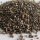 Graine de CHIA : une valeur nutritive exceptionnelle pour vos oiseaux