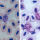Atoxoplasmose ou Lankesterella