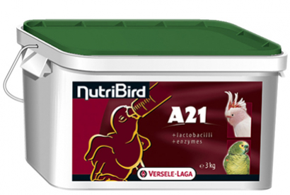Utilisation de NutriBird pour élevage à la main