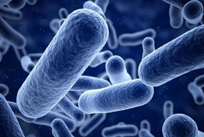 Probiotiques et toniques intestinaux