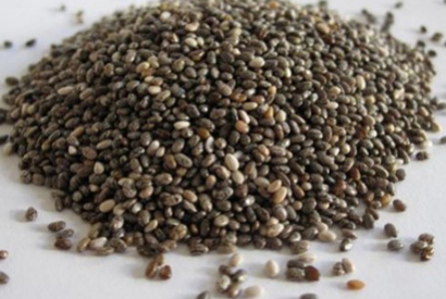 Graine de CHIA : une valeur nutritive exceptionnelle pour vos oiseaux