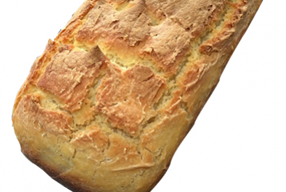 Pain de maïs pour Psittacidés Gourmands