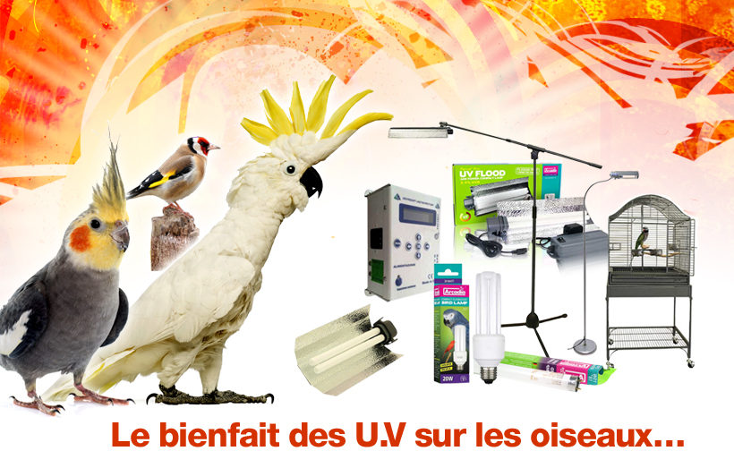 Cordon chauffant 50W/230V - Qualitybird - la boutique de vos oiseaux